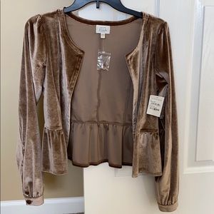 Velvet  jacket from Nordstrom, with tags, taupe